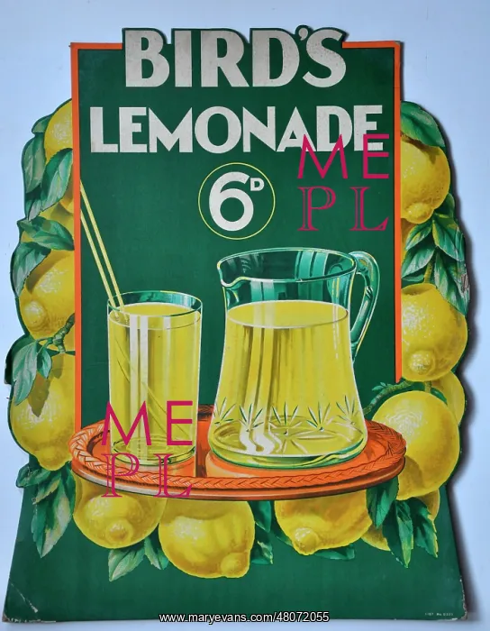 : Bird's Lemonade : Bird's Lemonade