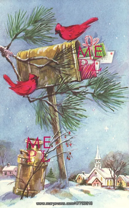 : Birds on MailboX : Birds on MailboX