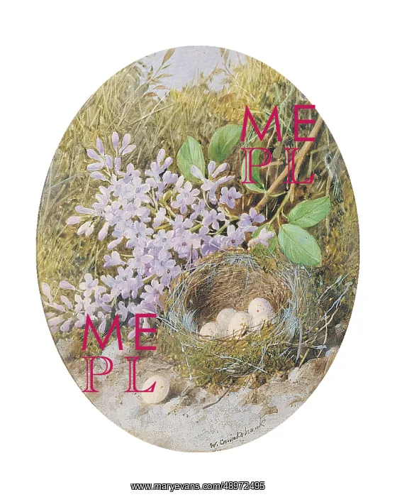 : Bird's Nest and Lilac : Bird's Nest and Lilac