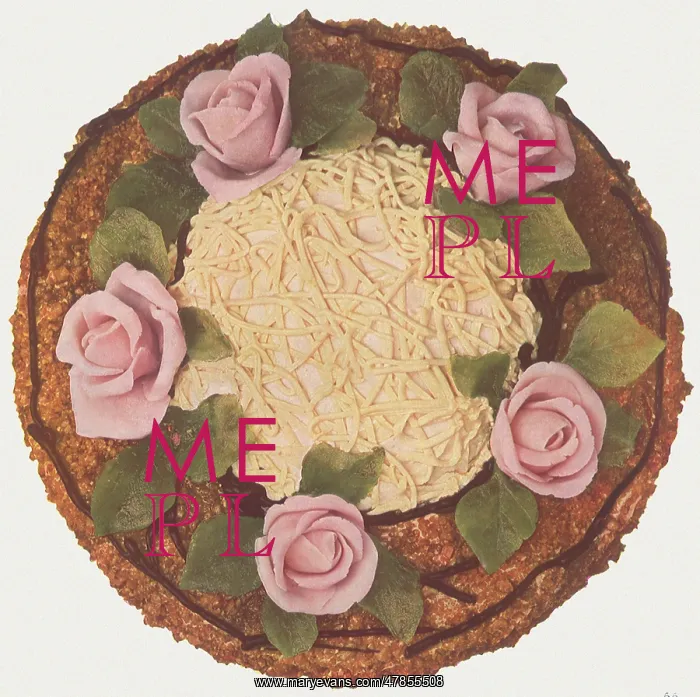 : Bird's Nest and Rose Cake : Bird's Nest and Rose Cake