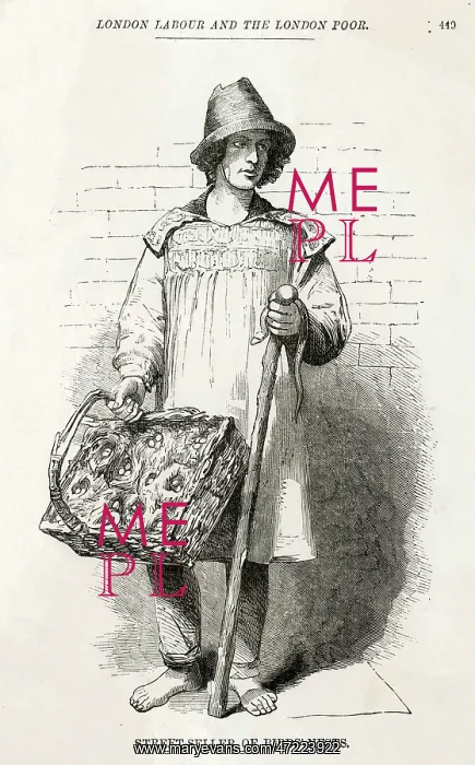  : BIRDS-NESTS SELLER