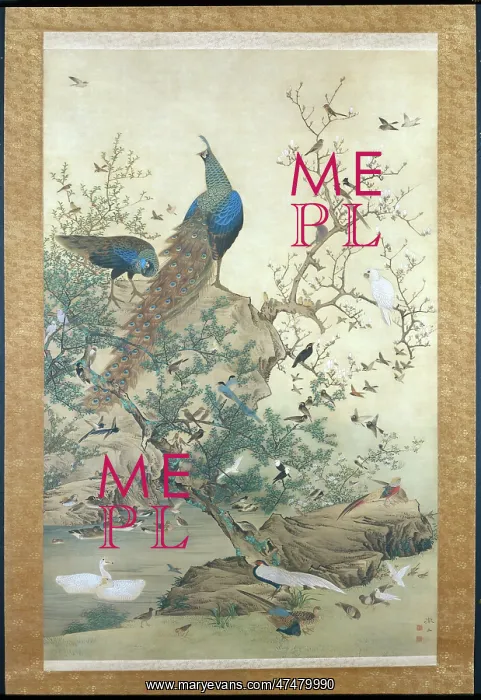 : One Hundred Birds ' peacocks & other birds : One Hundred Birds ' peacocks & other birds