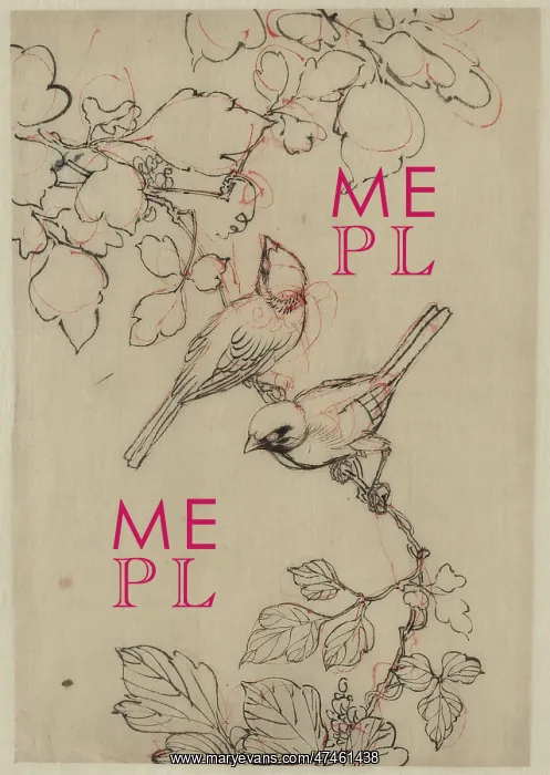 : Two birds perched on grapevines : Two birds perched on grapevines