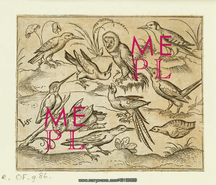 : Ten birds sitting on branches and patches of grass : Ten birds sitting on branches and patches of grass