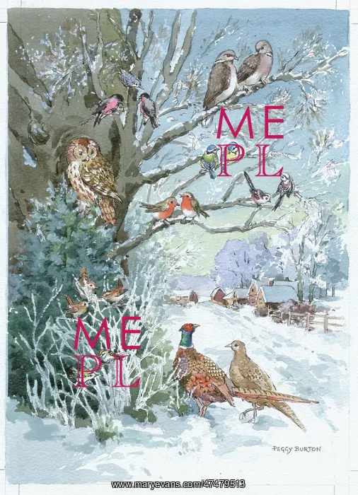  : Birds in the snow