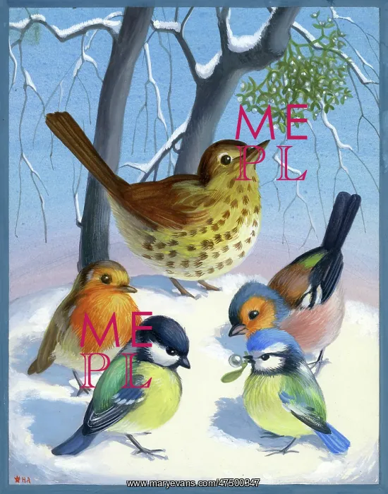 : Birds in the snow under mistletoe : Birds in the snow under mistletoe