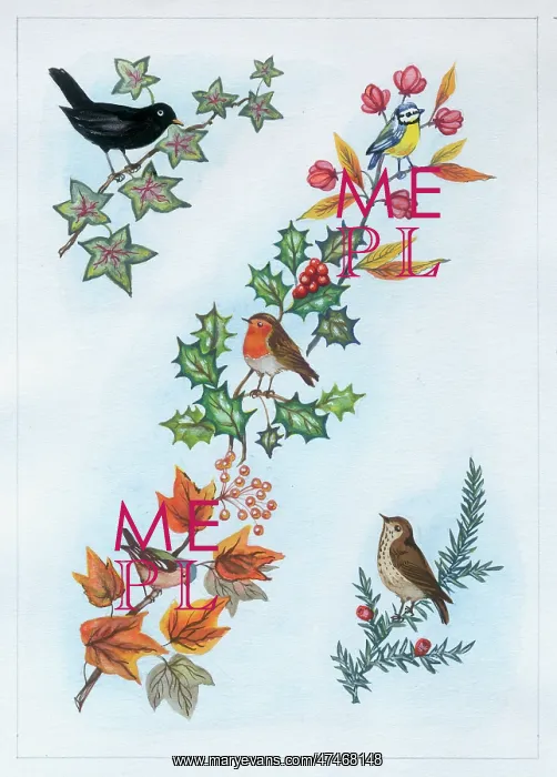 : Birds on Sprays of Winter Foliage : Birds on Sprays of Winter Foliage