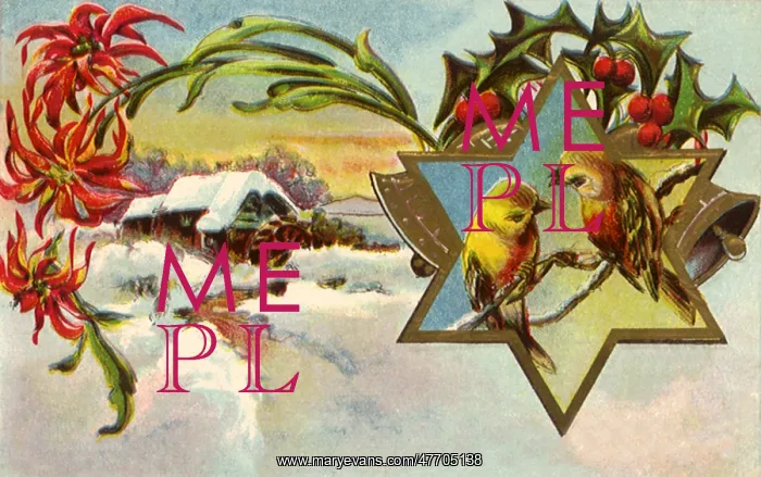 : Birds, Star, Country : Birds, Star, Country
