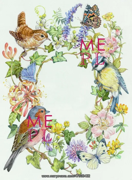 : Birds with summer flowers and butterflies : Birds with summer flowers and butterflies