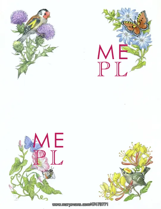 : Birds on thistle and honeysuckle, butterflies : Birds on thistle and honeysuckle, butterflies