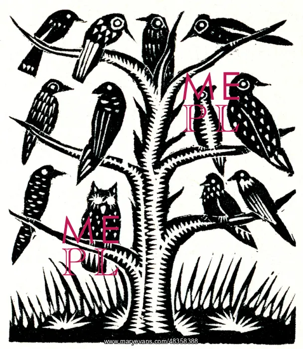 : Birds on a tree : Birds on a tree