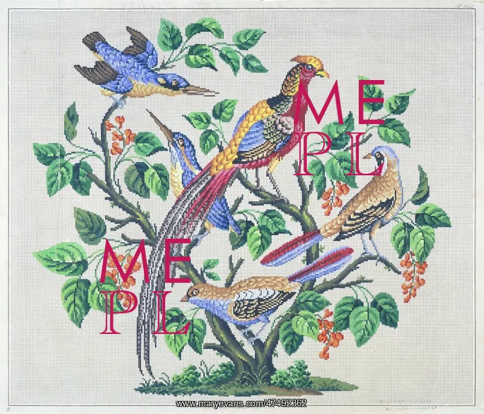 : Five Birds in a Tree – woolwork design : Five Birds in a Tree – woolwork design