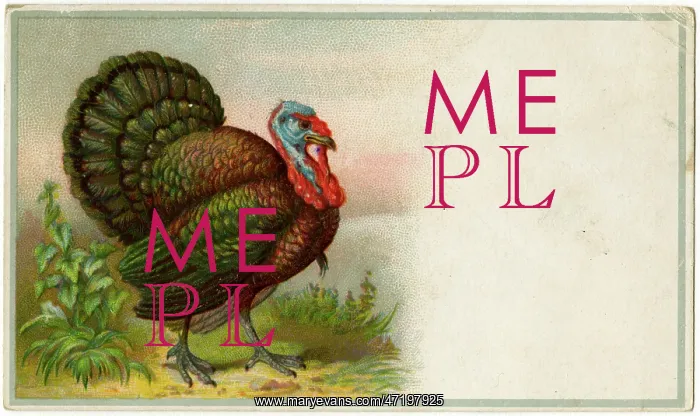  : BIRDS / TURKEYS C1890