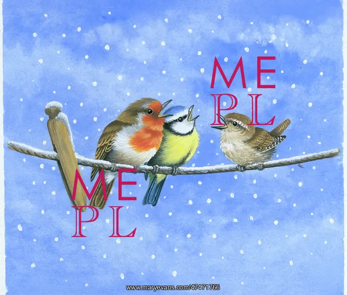  : Birds on washing line in snow