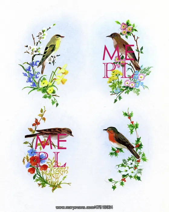 : Four birds with wild flowers : Four birds with wild flowers