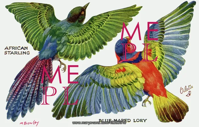 : Birds on the Wing cut out : Birds on the Wing cut out