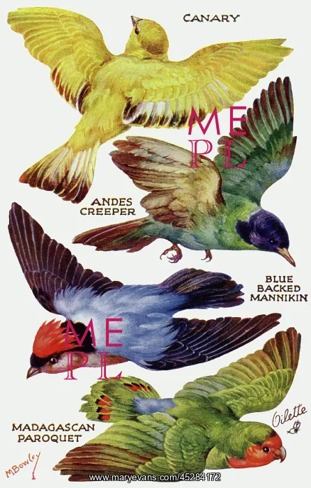 : Birds on the Wing cut out : Birds on the Wing cut out