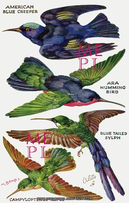  : Birds on the Wing cut out