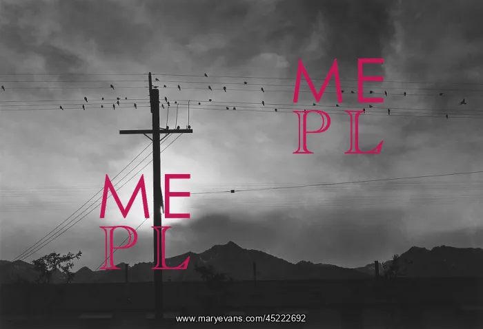 : Birds on wire, Evening, Manzanar Relocation ? : Birds on wire, Evening, Manzanar Relocation ?