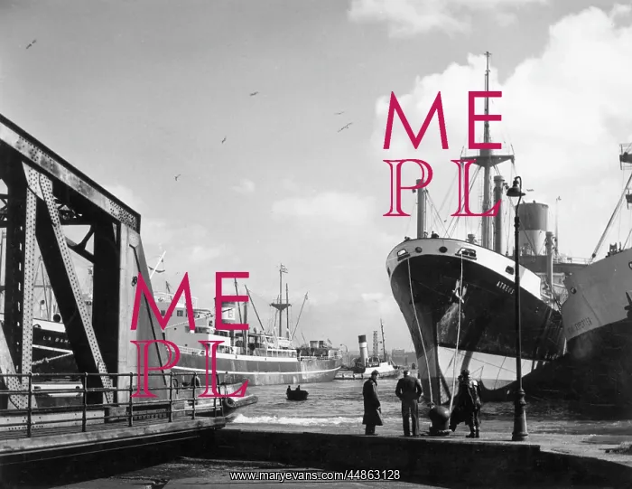 : BIRKENHEAD DOCKS : BIRKENHEAD DOCKS