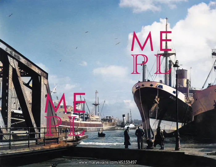 : BIRKENHEAD DOCKS : BIRKENHEAD DOCKS