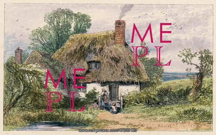  : BIRKET FOSTER / COTTAGE
