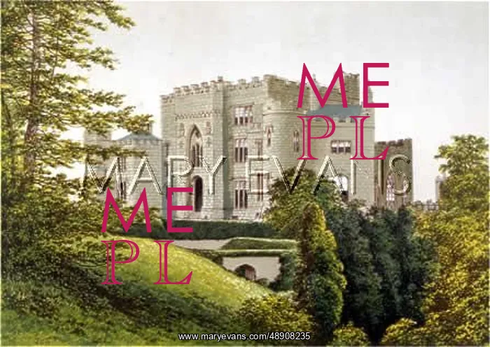  : BIRR CASTLE / IRELAND 1879