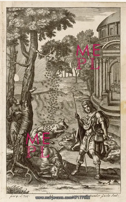 : BIRTH OF APICULTURE : BIRTH OF APICULTURE