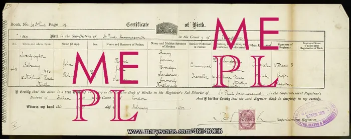 : BIRTH CERTIFICATE 1901 : BIRTH CERTIFICATE 1901