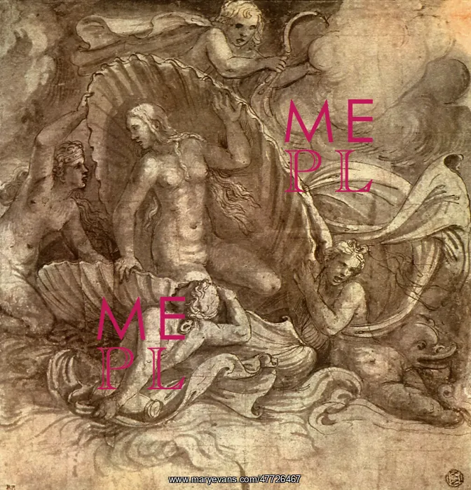  : Birth of Venus