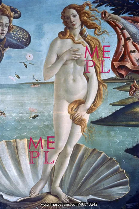 : The Birth of Venus Artist: Sandro Botticelli : The Birth of Venus Artist: Sandro Botticelli