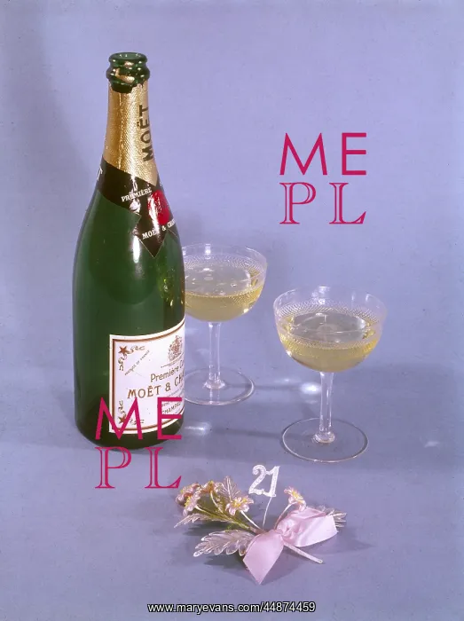  : BIRTHDAY BUBBLY