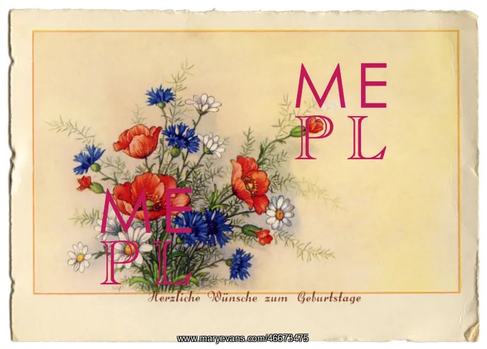 : Birthday card with summer flowers : Birthday card with summer flowers