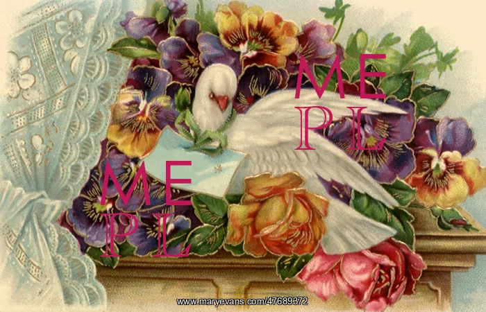  : Birthday Greetings