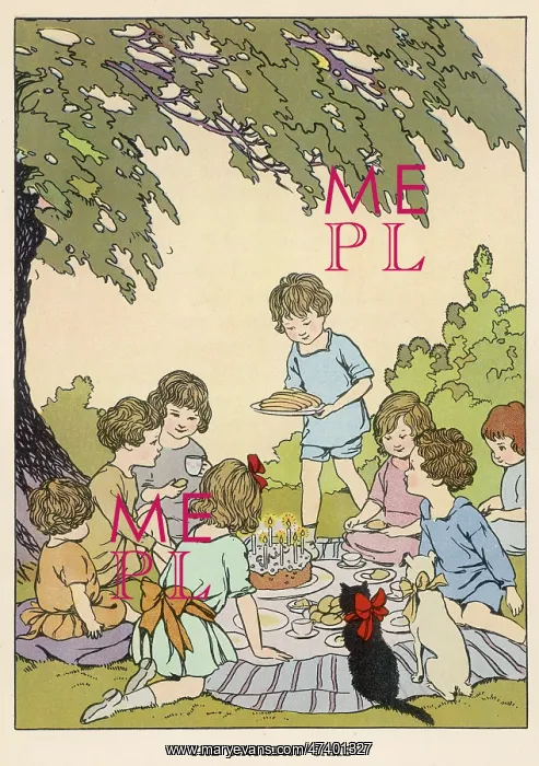 : BIRTHDAY PICNIC : BIRTHDAY PICNIC