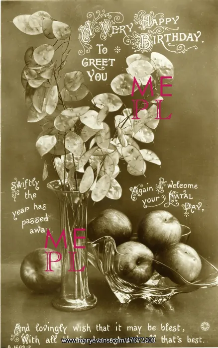 : Birthday postcard, Honesty pods and apples : Birthday postcard, Honesty pods and apples