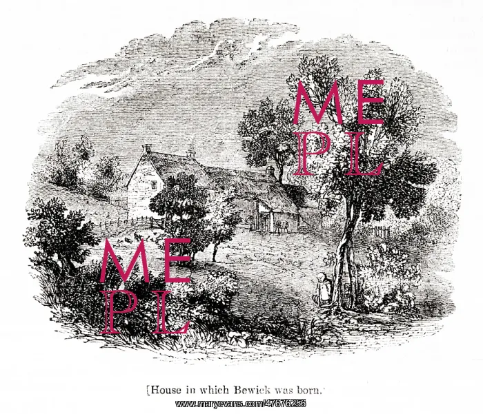 : Birthplace of Thomas Bewick, Cherryburn, Northumberland : Birthplace of Thomas Bewick, Cherryburn, Northumberland