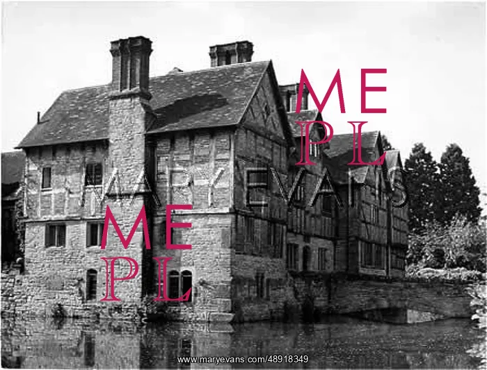 : BIRTMORTON COURT : BIRTMORTON COURT