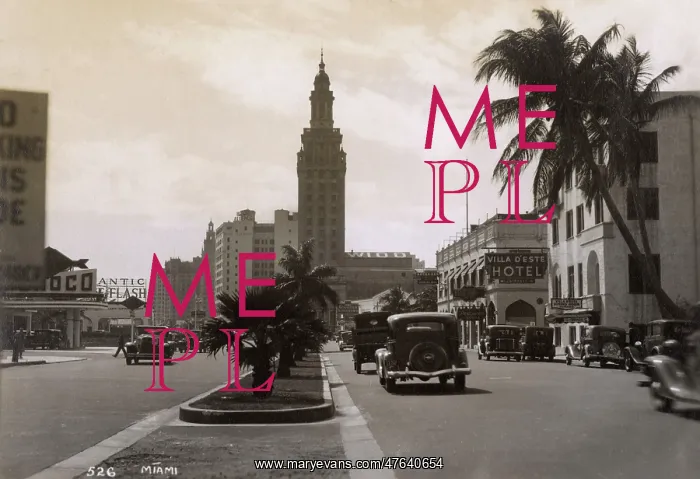 : Biscayne Boulevard, Miami Beach, Florida, USA : Biscayne Boulevard, Miami Beach, Florida, USA