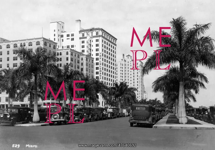 : Biscayne Boulevard, Miami Beach, Florida, USA : Biscayne Boulevard, Miami Beach, Florida, USA
