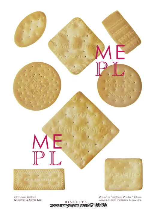  : BISCUITS. Selection of biscuits for eating with cheese