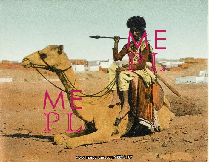: Bisharin Man holding a spear, whilst riding his camel : Bisharin Man holding a spear, whilst riding his camel