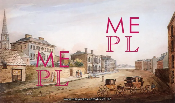 : Bishop's Palace and Assembly Rooms in Waterford : Bishop's Palace and Assembly Rooms in Waterford