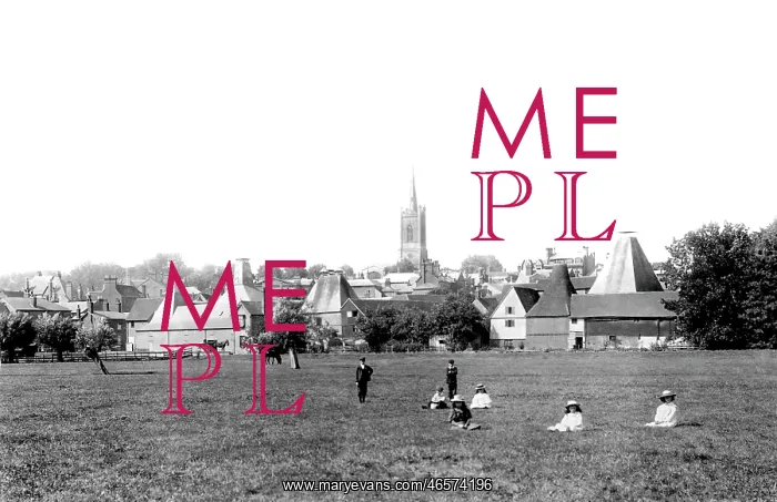  : Bishop's Stortford, The Meads 1899
