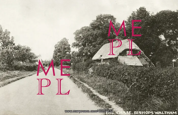  : Bishop's Waltham, the Chase