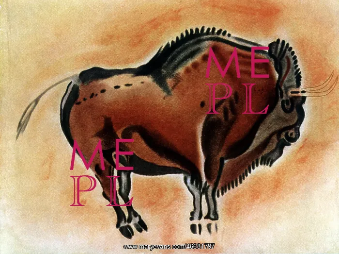 : Bison cave painting : Bison cave painting