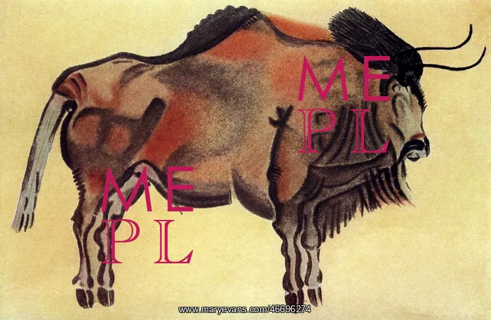 : Bison cave painting : Bison cave painting