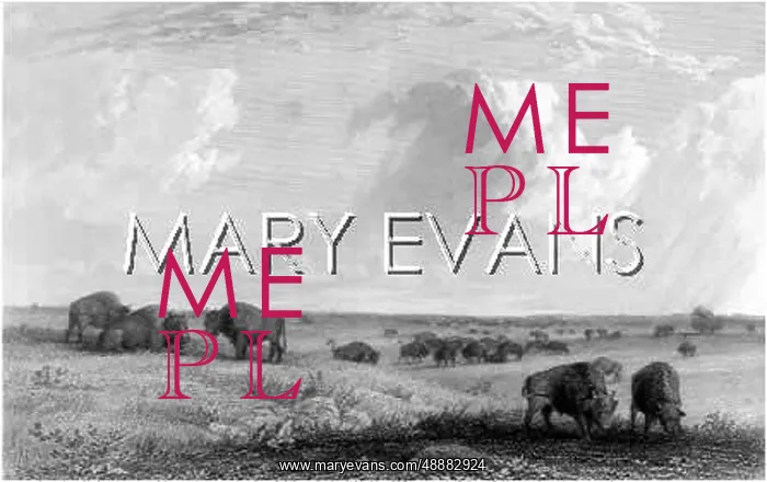 : BISON HERD USA 1856 : BISON HERD USA 1856
