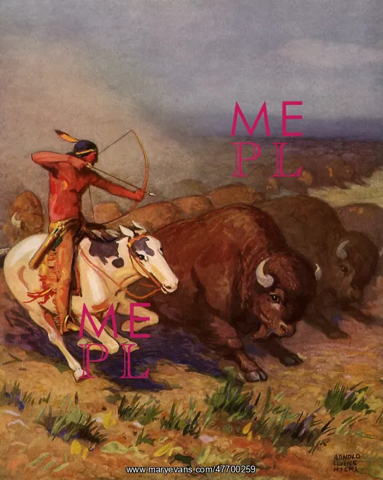  : Bison Hunting