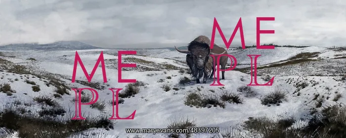 : A Bison latifrons in a winter landscape during the ? : A Bison latifrons in a winter landscape during the ?
